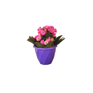 86323-VASO DIAMANTE MINI COLOR 250ML-CVL