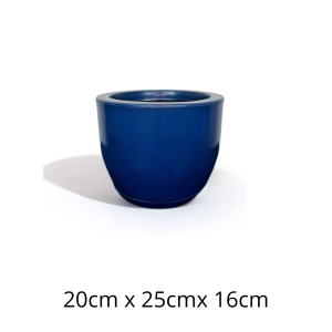 ROT450B-VASO BOJO LISO PP C/ PRATO- ROTOA