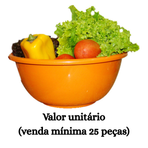 #ATACADO-VALOR UNITÁRIO P/25 PÇS-BACIA REF. 06 COR VIVA (CORPO)-CVL