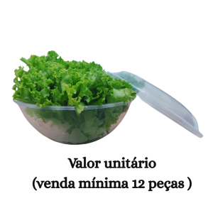 #ATACADO-VALOR UNITÁRIO P/12 PÇS-BACIA REF. 03 TRANSLUCIDA C/ TAMPA-CVL